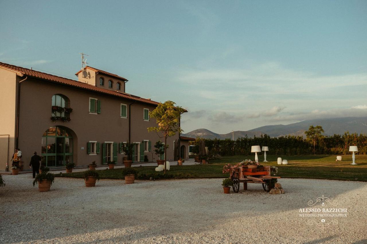 Вилла Fattoria L'Olmetto Пиза Экстерьер фото