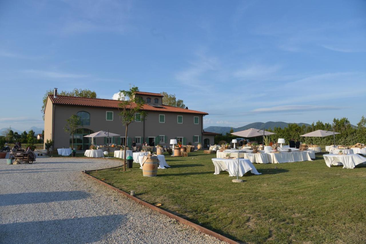 Вилла Fattoria L'Olmetto Пиза Экстерьер фото