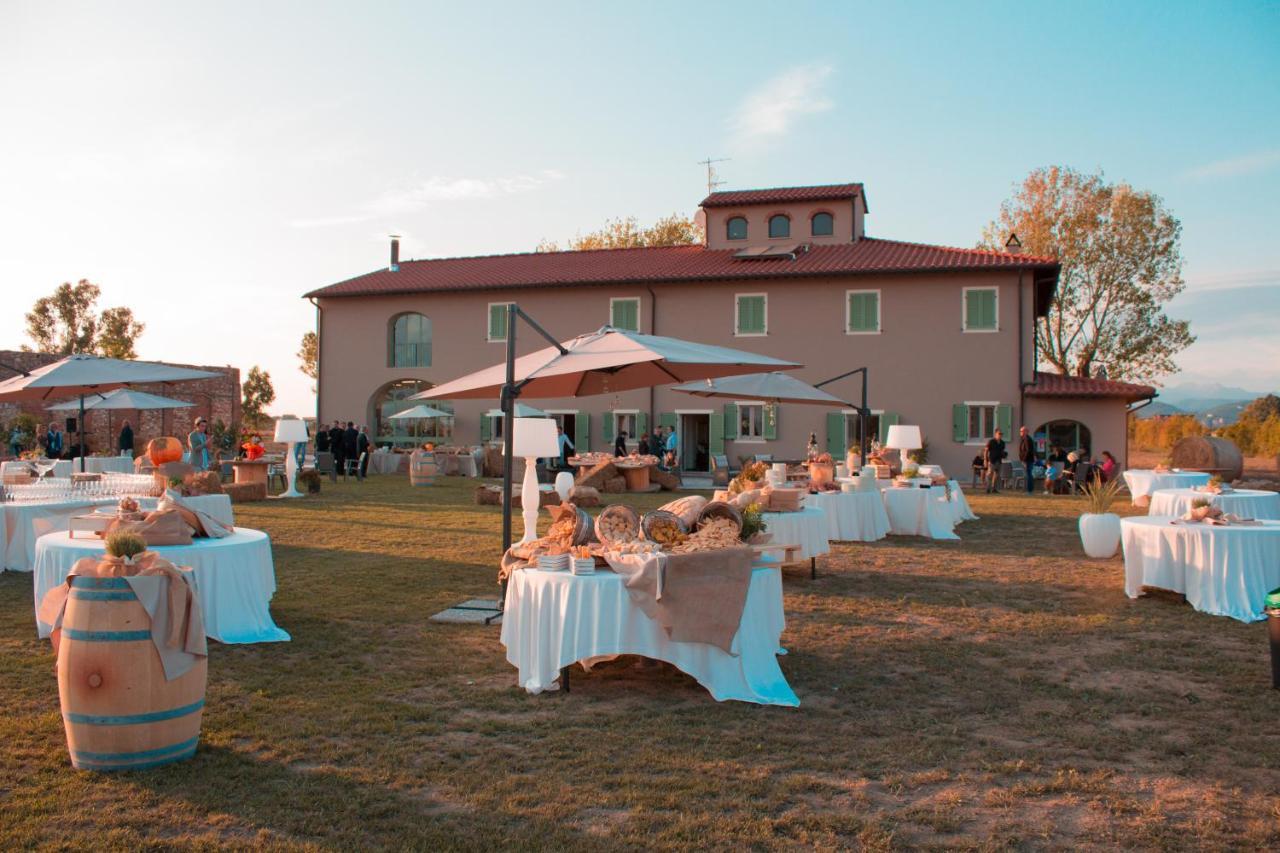 Вилла Fattoria L'Olmetto Пиза Экстерьер фото