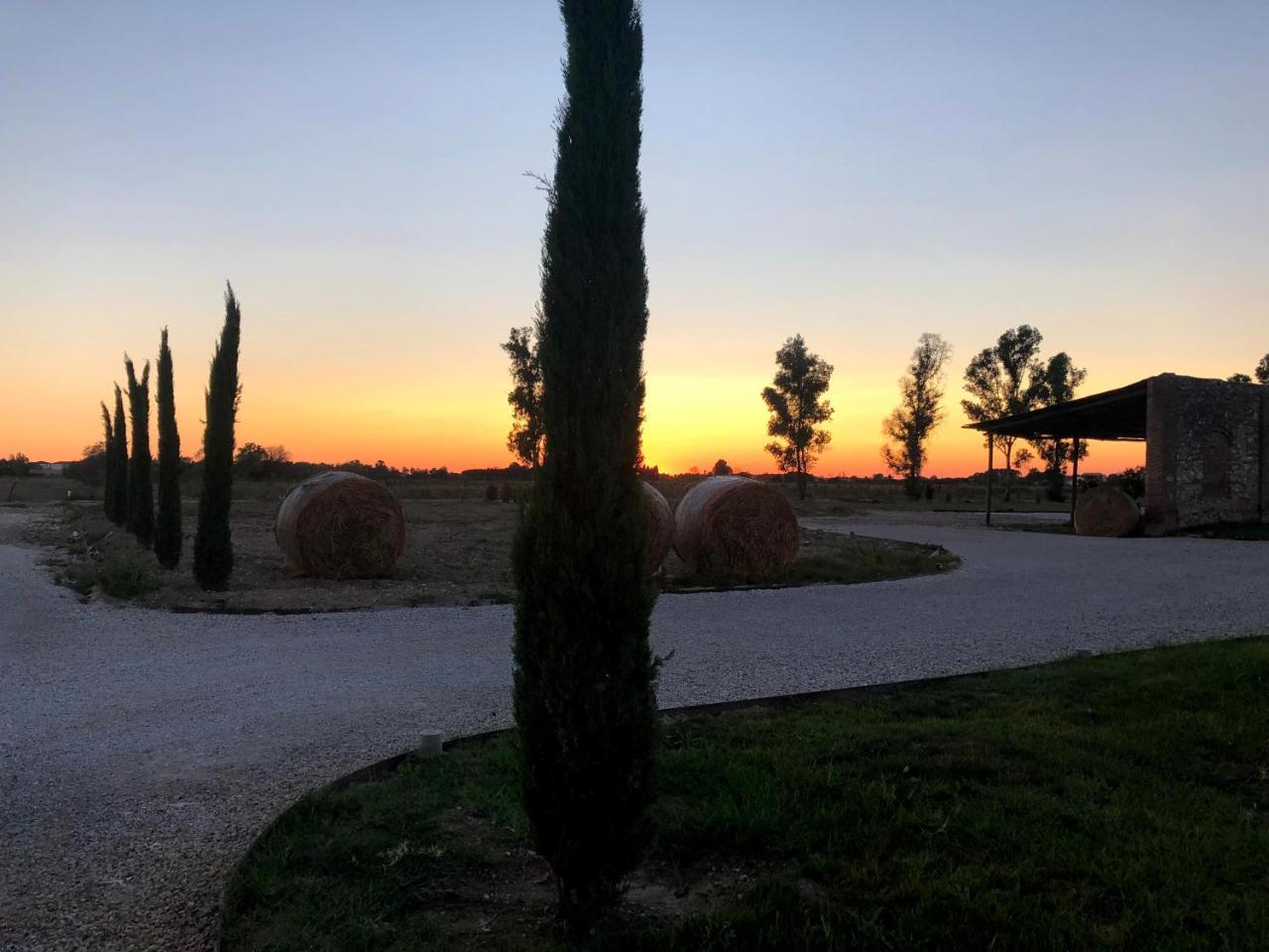 Вилла Fattoria L'Olmetto Пиза Экстерьер фото
