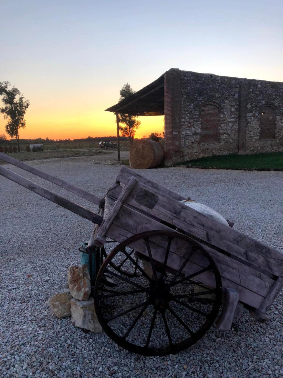 Вилла Fattoria L'Olmetto Пиза Экстерьер фото