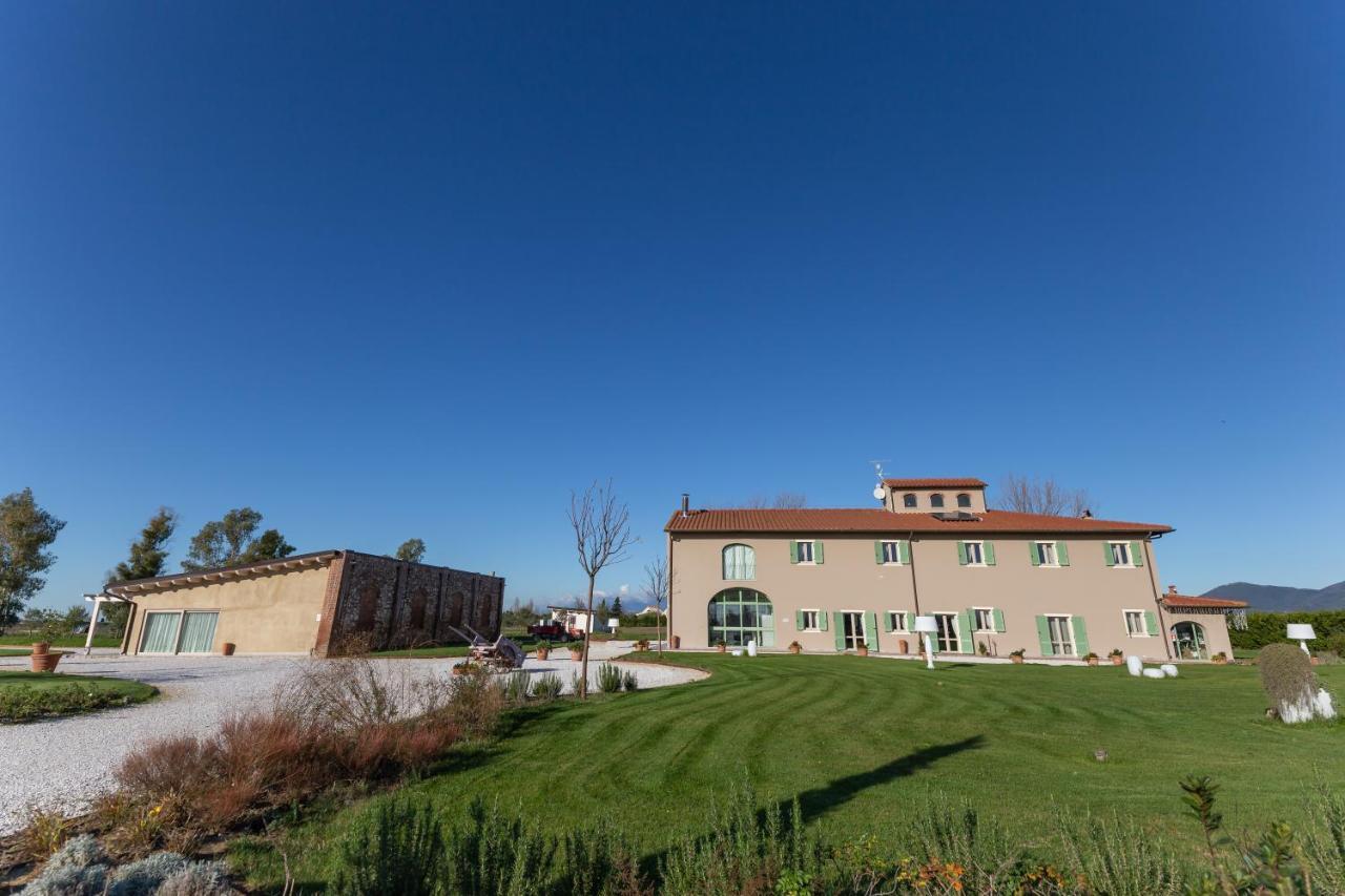 Вилла Fattoria L'Olmetto Пиза Экстерьер фото