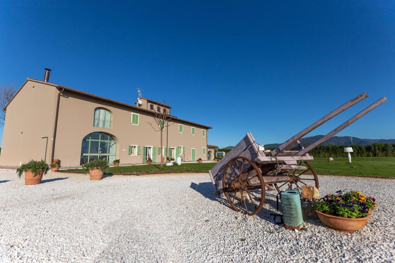 Вилла Fattoria L'Olmetto Пиза Экстерьер фото